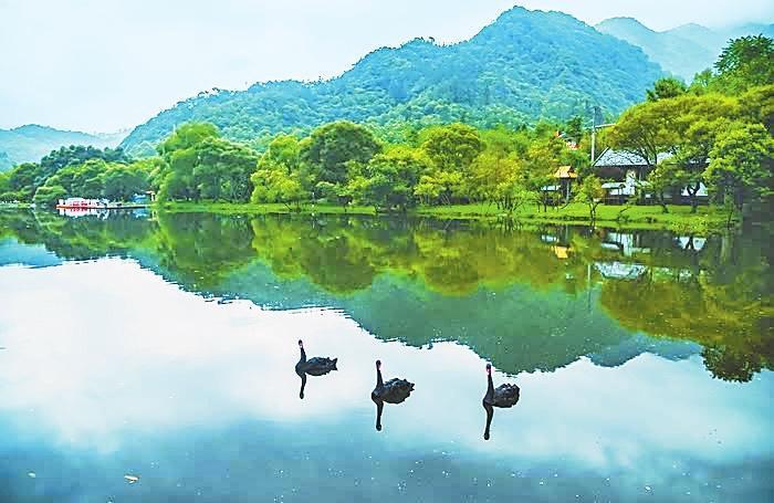 美丽的天鹅湖 （本版图片均为资料图）