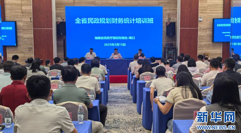培训现场。新华网发