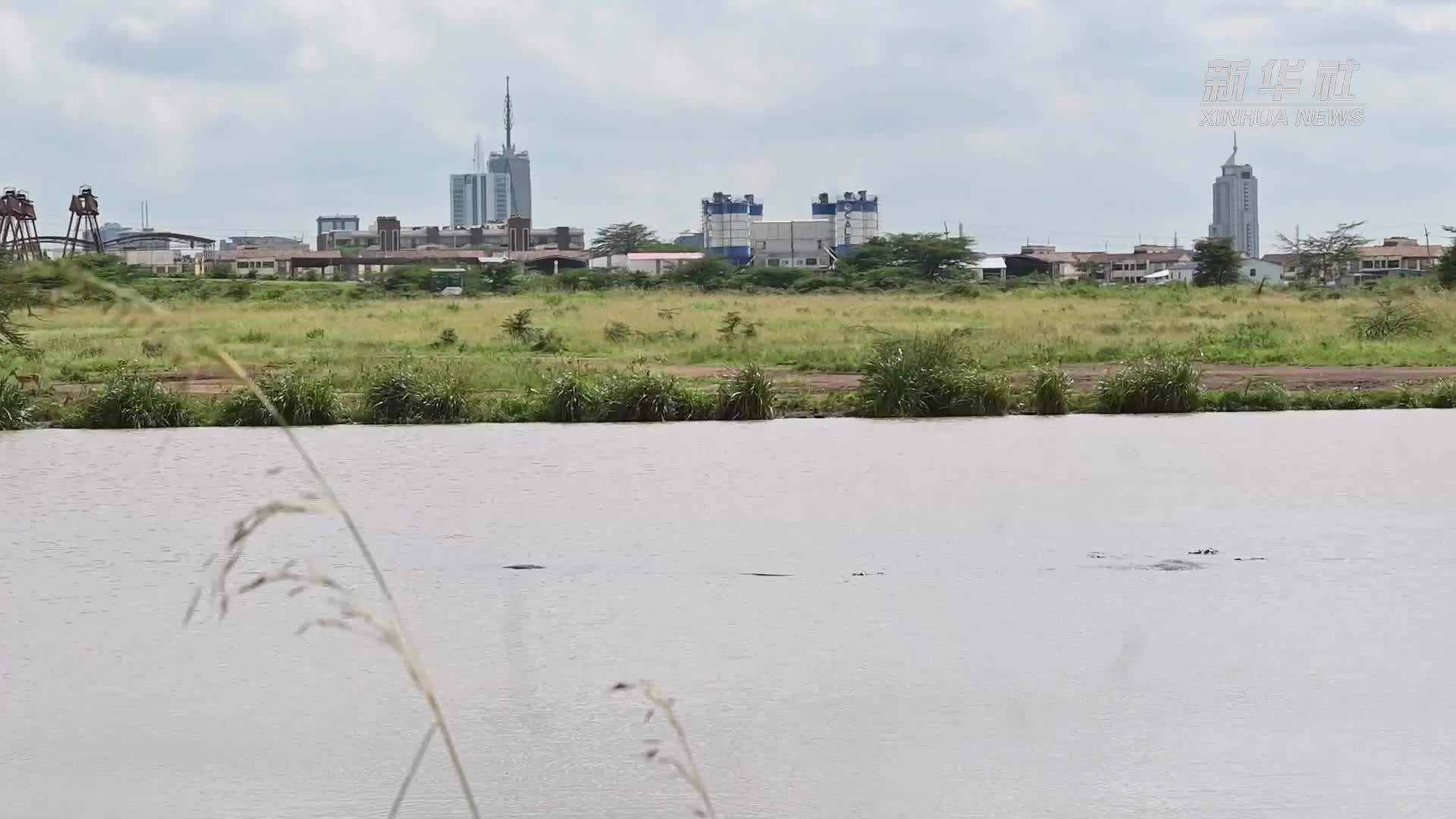 人与自然的交响曲——内罗毕国家公园的和谐共生之路