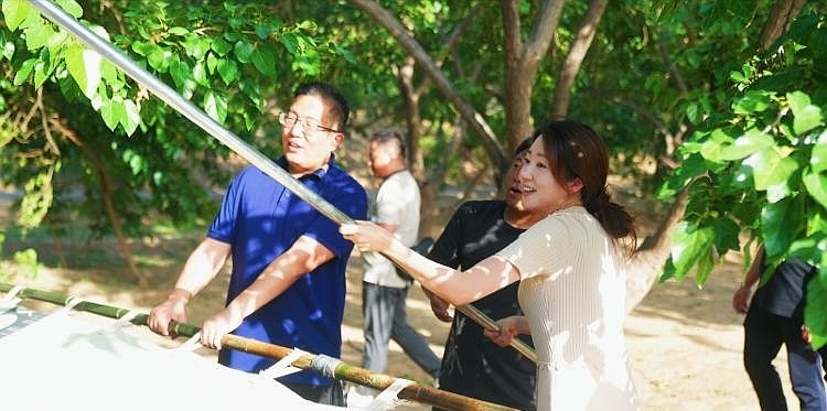 “儒风水韵德州行”：桑香漫故道，产业兴夏津  解码农业文化遗产地的三产融合 “生态经”