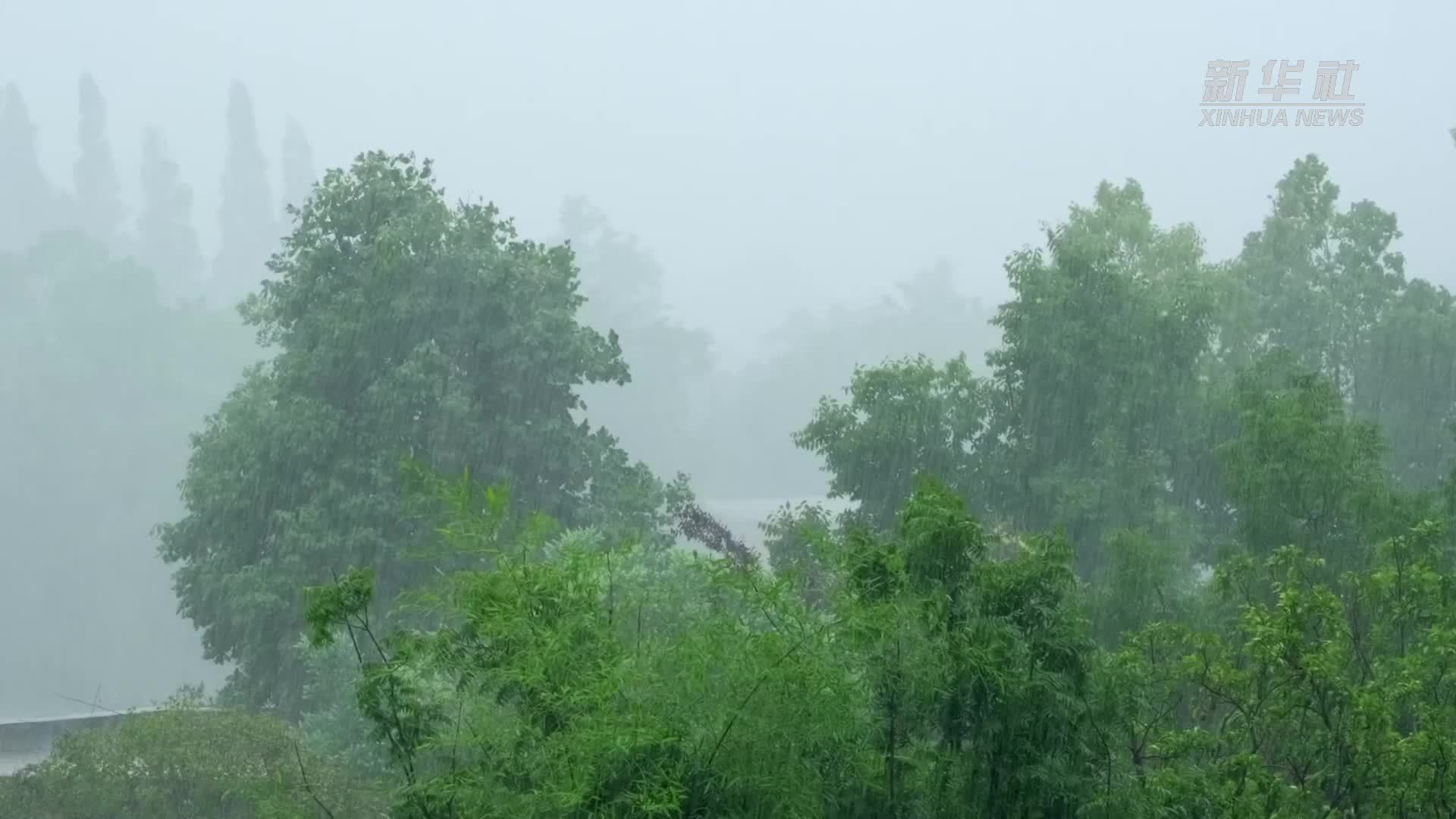 致敬，暴雨中的逆行者