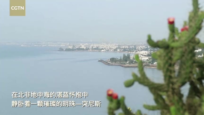 邂逅突尼斯