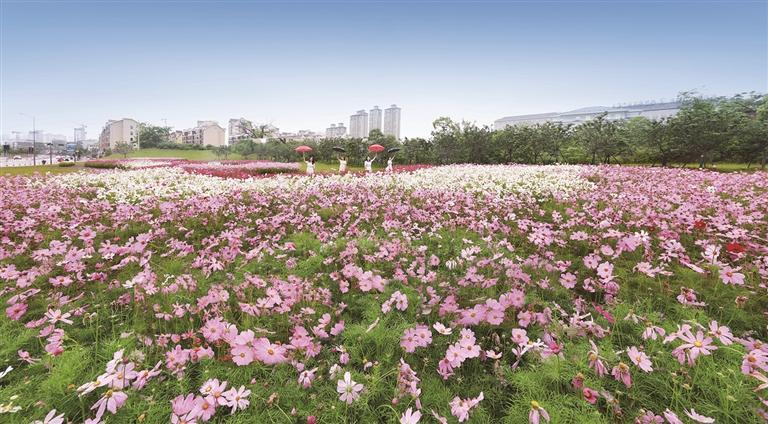 上饶：花漾成画（图）