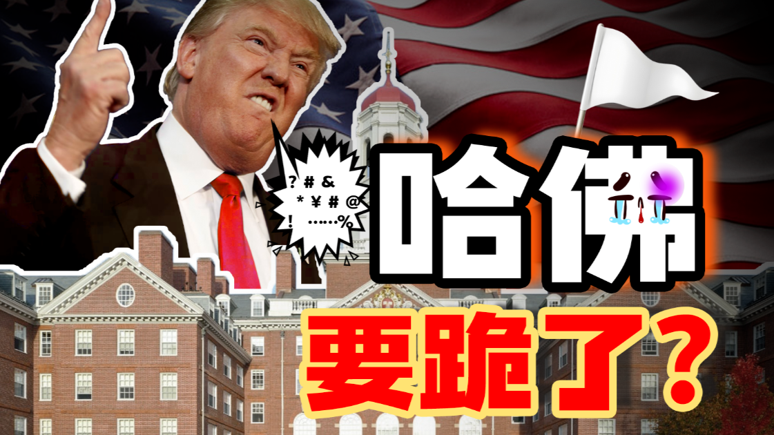 美国高校被懂王逼成了“破产姐妹”？学术灭霸vs白宫狂战士