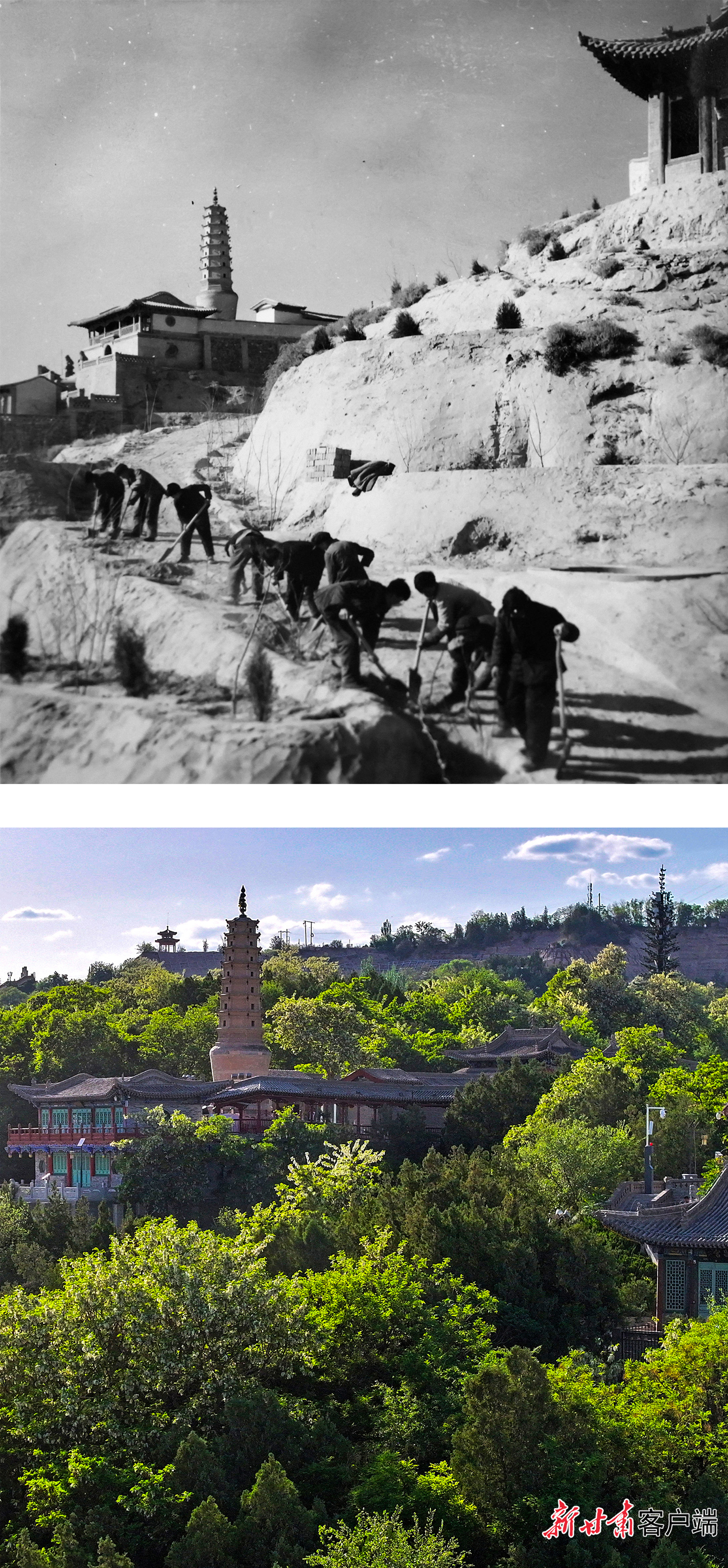 上图：1958年初春，兰州市人民在白塔山下植树。甘肃日报记者郑铁林摄；下图：2025年5月15日，兰州市白塔山下绿意葱茏。新甘肃·甘肃日报记者冯乐凯摄。