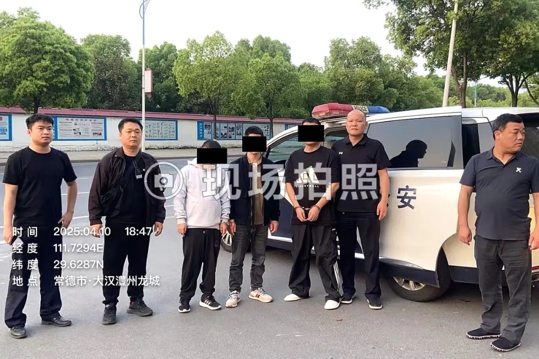 ▲抓获嫌疑人李某甲、李某乙、卢某