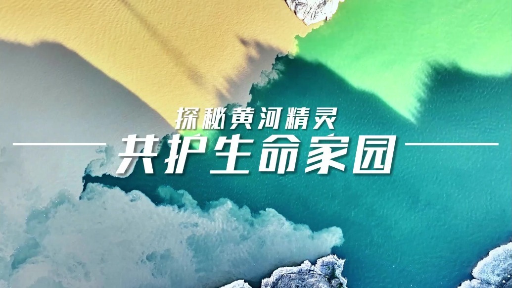 探秘黄河精灵　共护生命家园