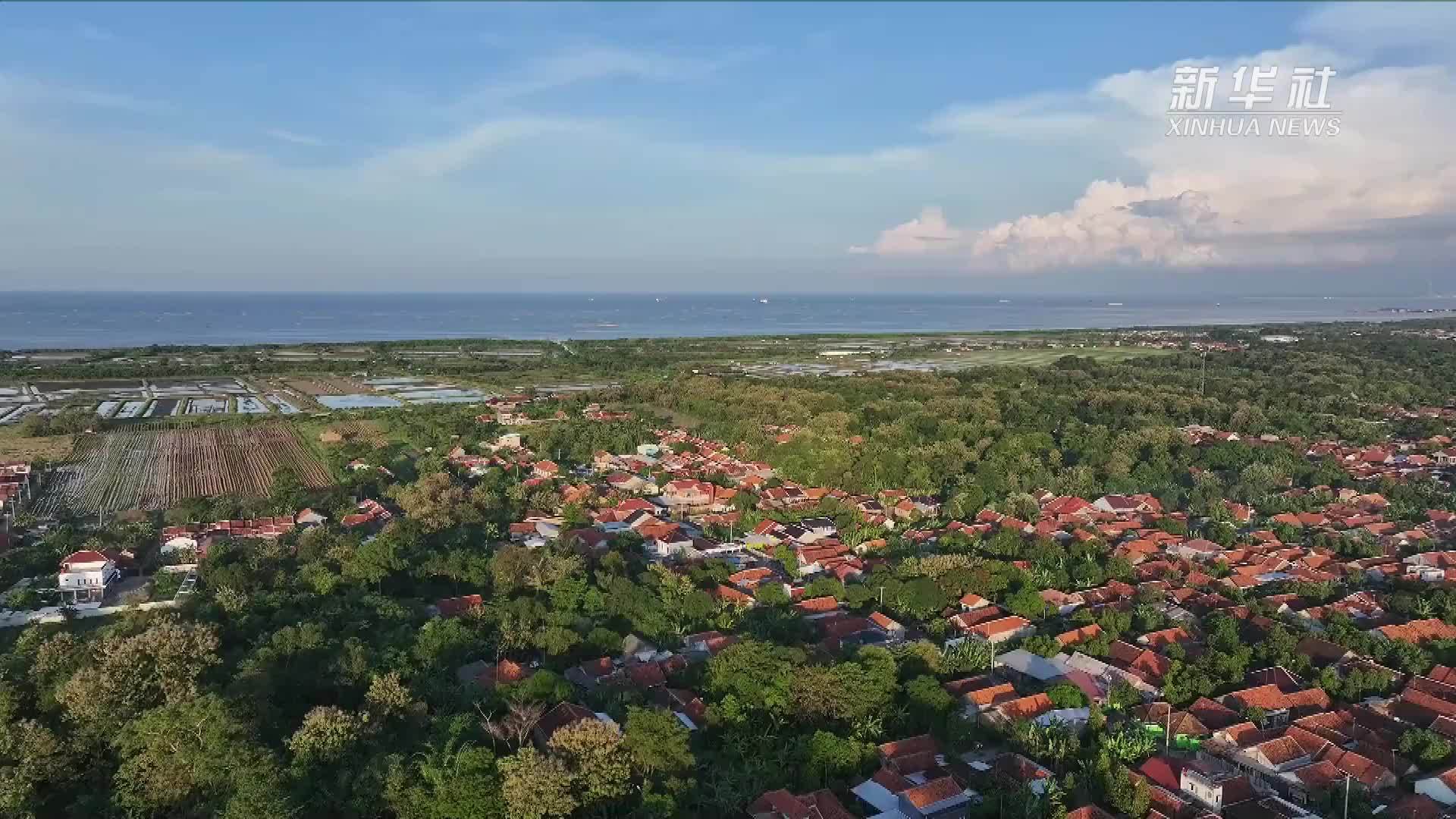 中印尼加强文化遗产保护合作