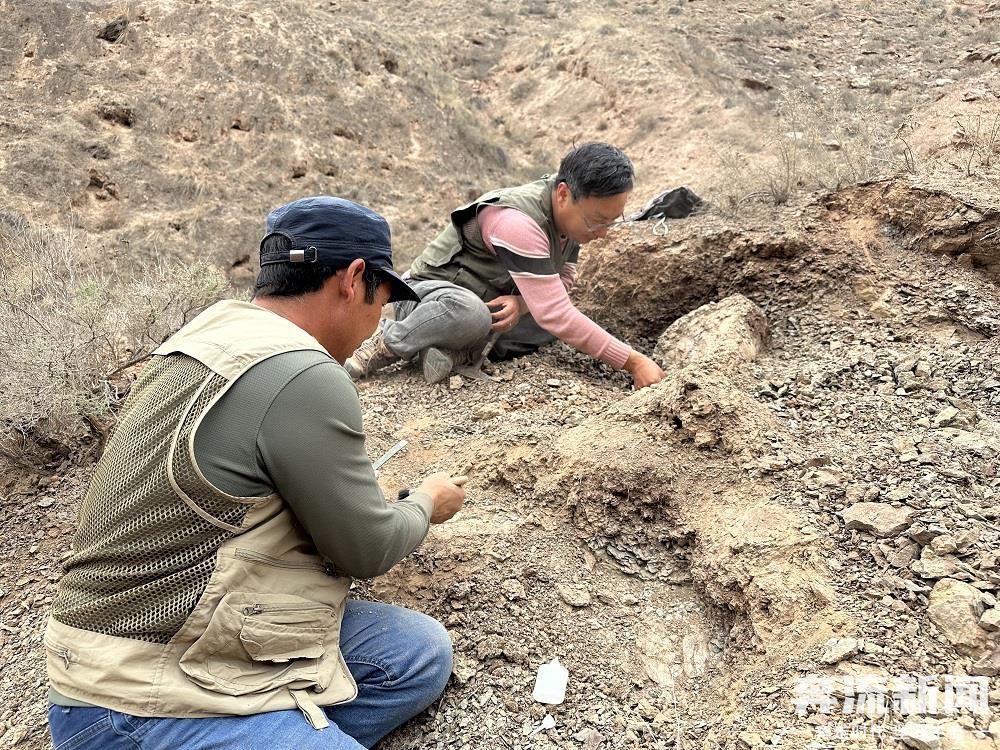 甘肃临洮再次发现恐龙化石(40963545)-20250523134620.jpg
