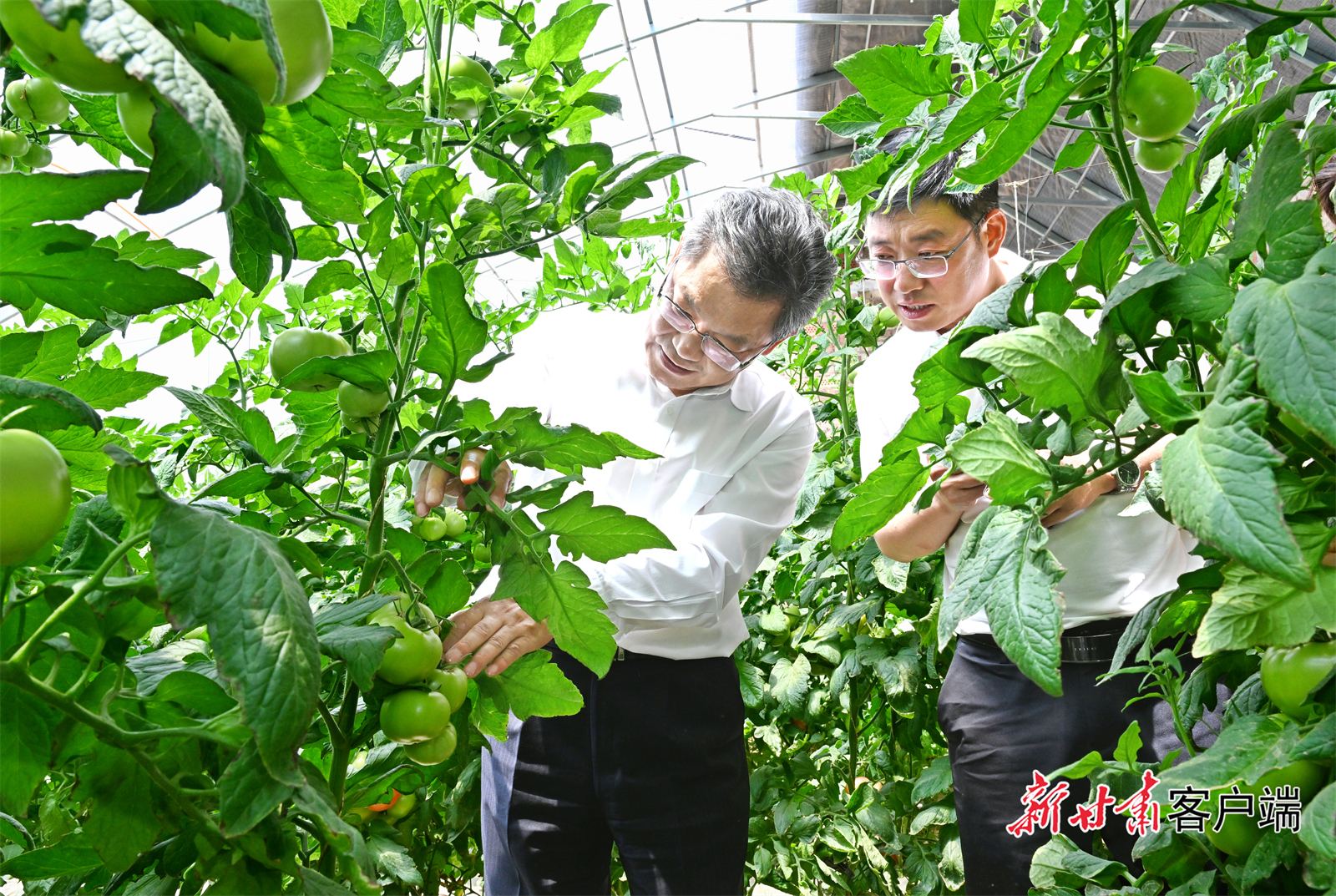 干旱预警持续　省长田间地头开减灾方