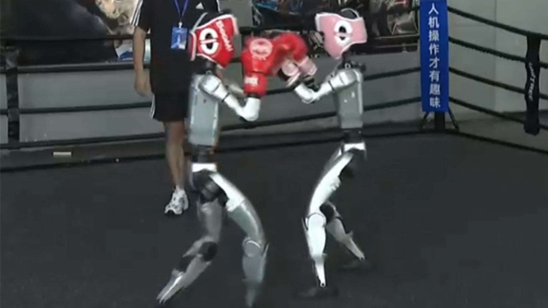 踢足球、马拉松后，“太奶”要练格斗了！杭州将举办全球首届人形机器人格斗大赛