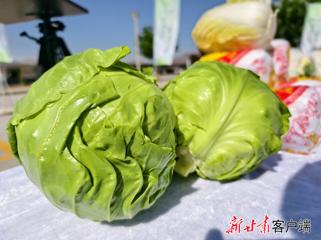 兰州高原夏菜　甘味品牌中心供图