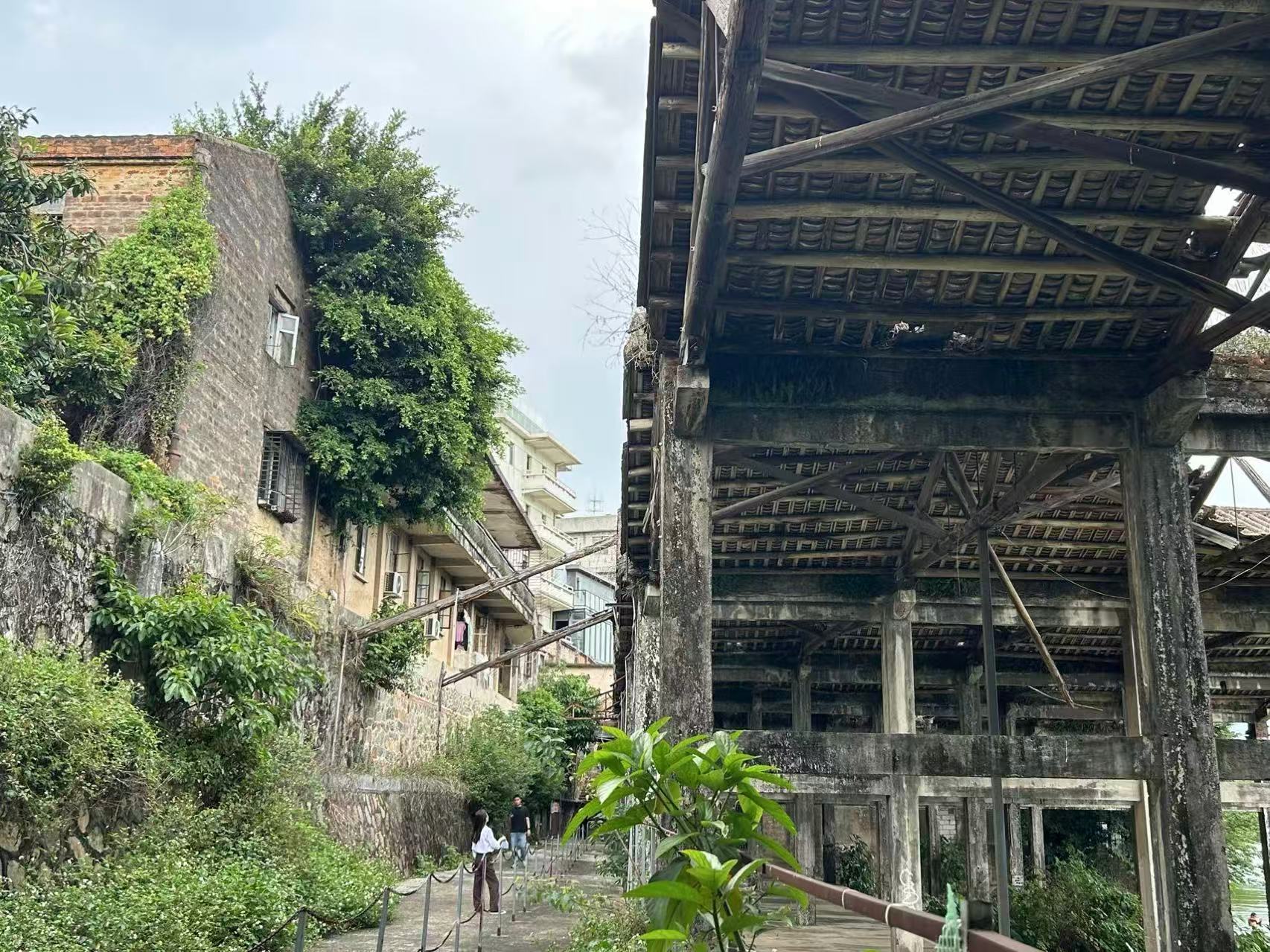 （图源：时代周报 王晨婷/摄）