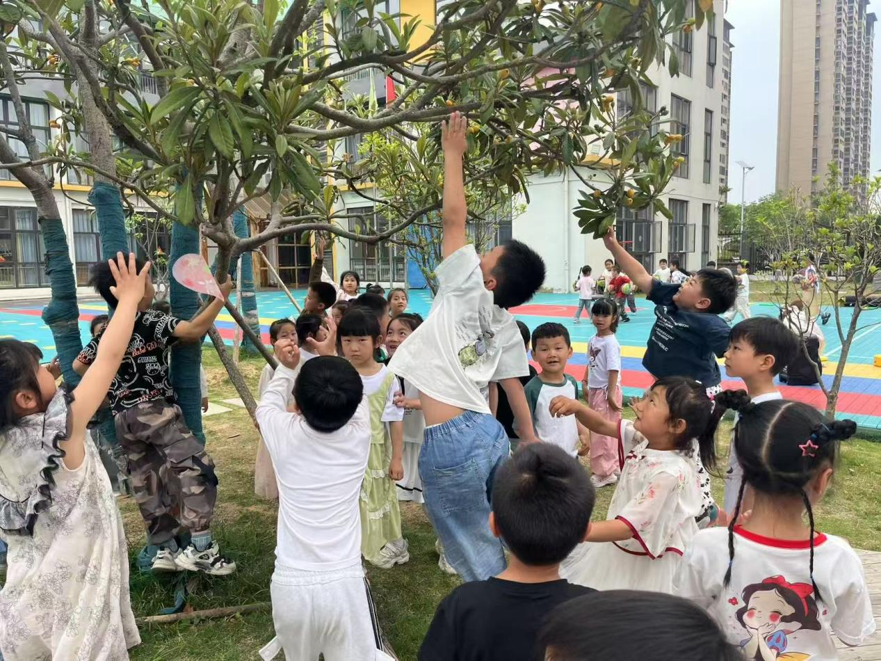 安徽固镇县示范幼儿园：“小满”时节趣意浓 六善文化润童心