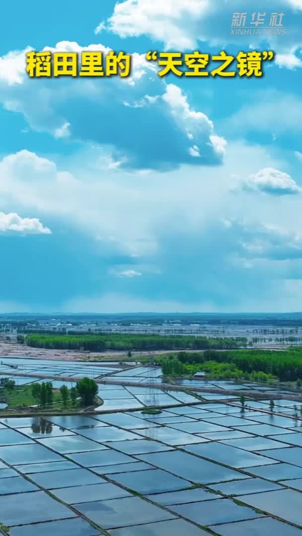 稻田里的“天空之镜”