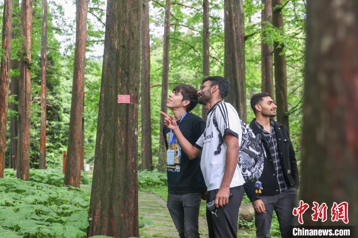 5月16日,江西庐山,外籍网络达人在中国科学院庐山植物园参观。中新社记者 刘力鑫 摄