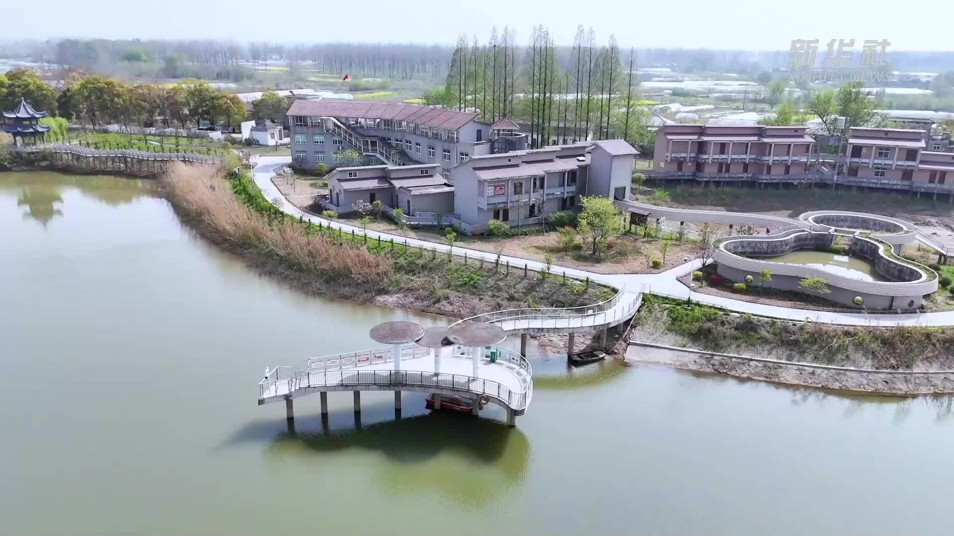 新华全媒+｜“江豚爸爸”张八斤：留住江豚的微笑