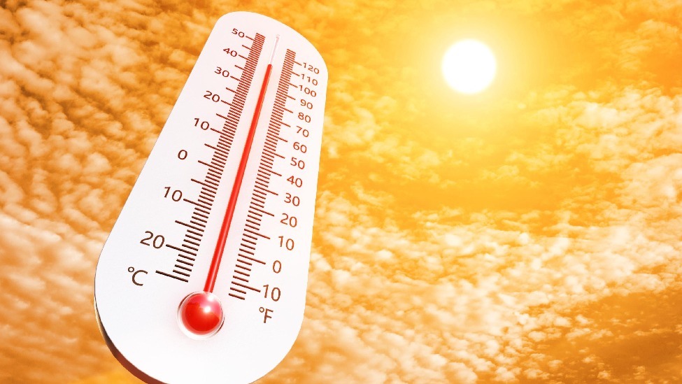高温来势汹汹！河南部分地区超41℃