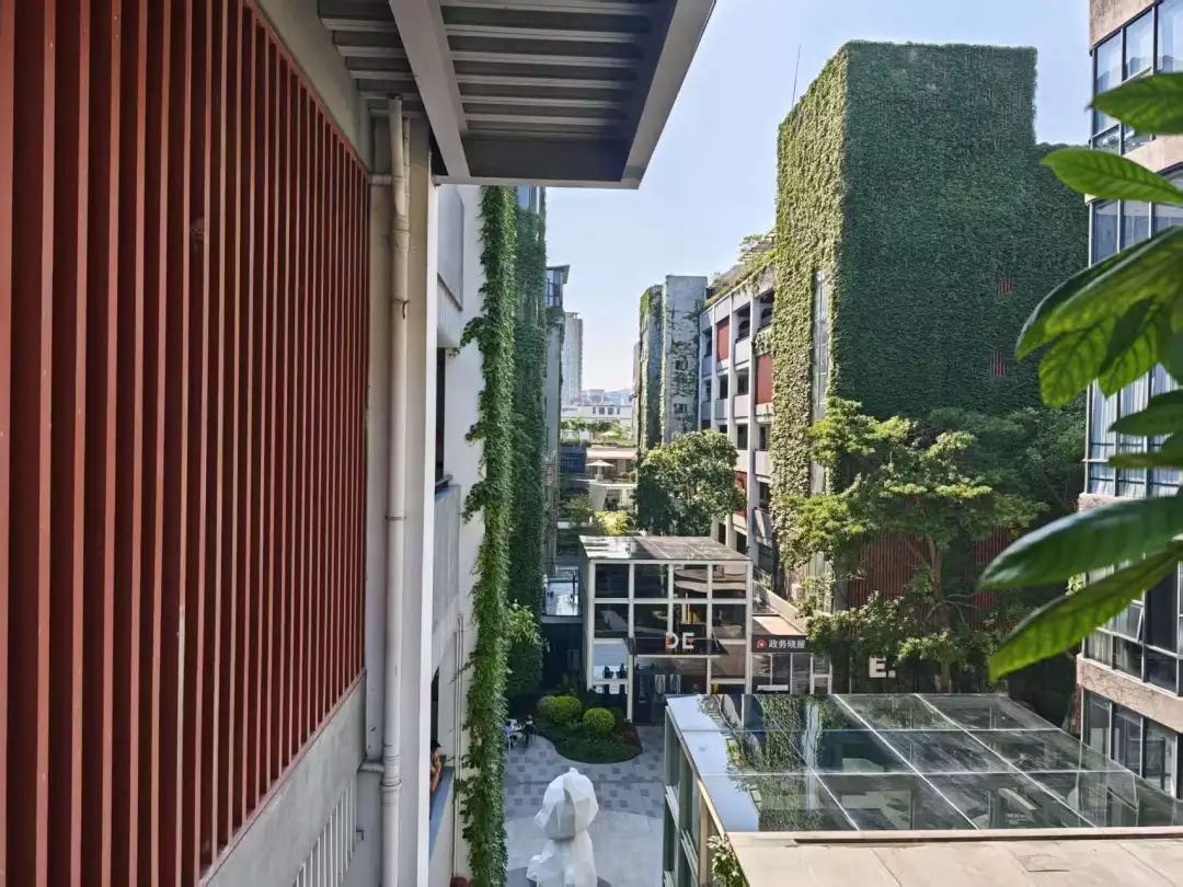 28元!PDD这望远神器,让vivo气得报警?