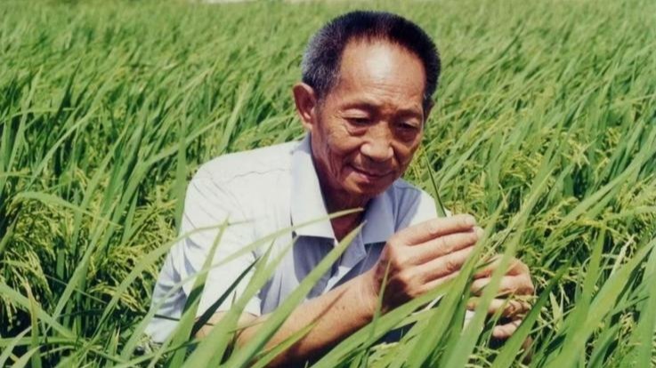 成功没有秘诀，袁隆平留给年轻人的寄语