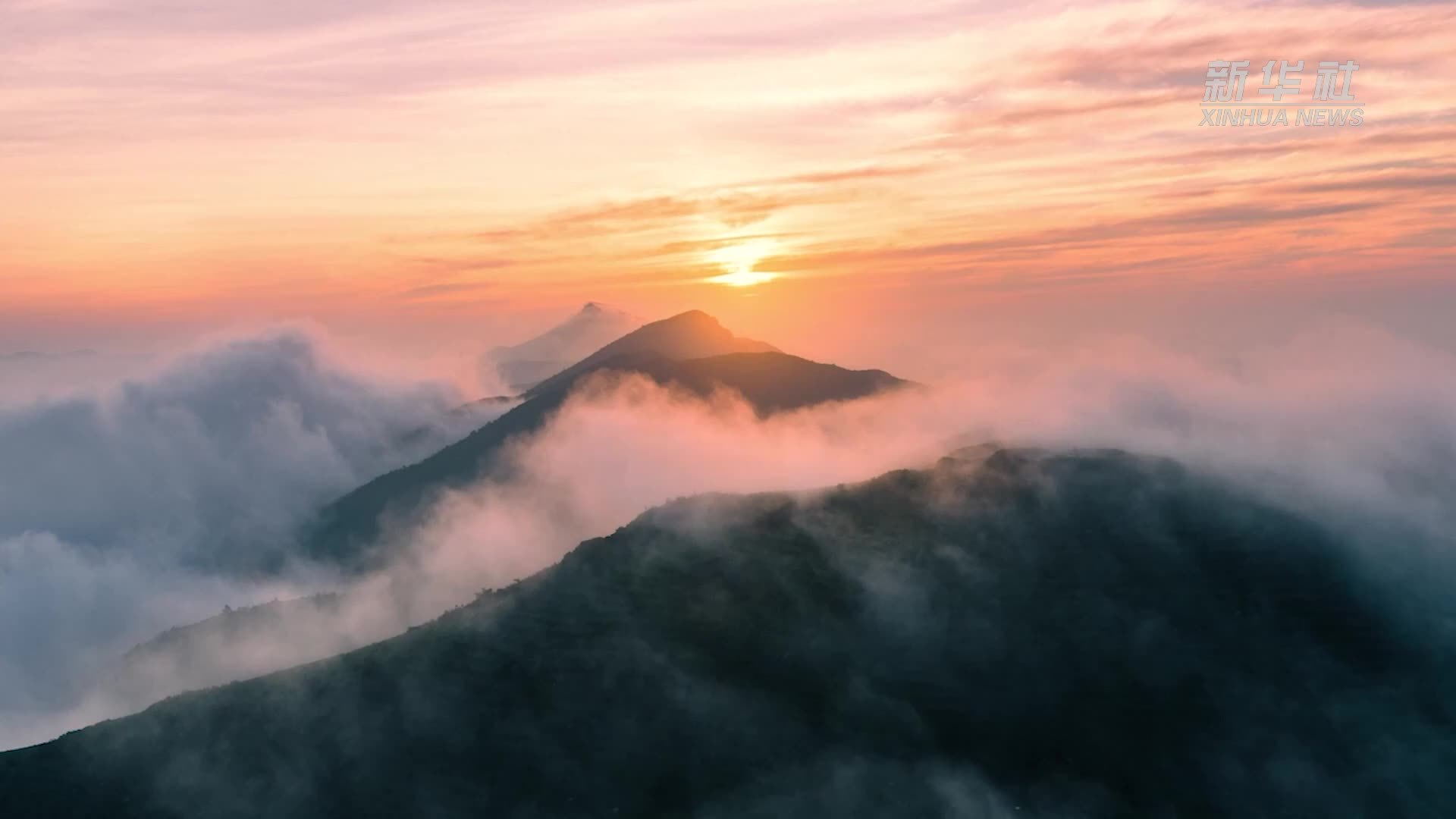 福建福鼎：一方茶乡 百里茶香