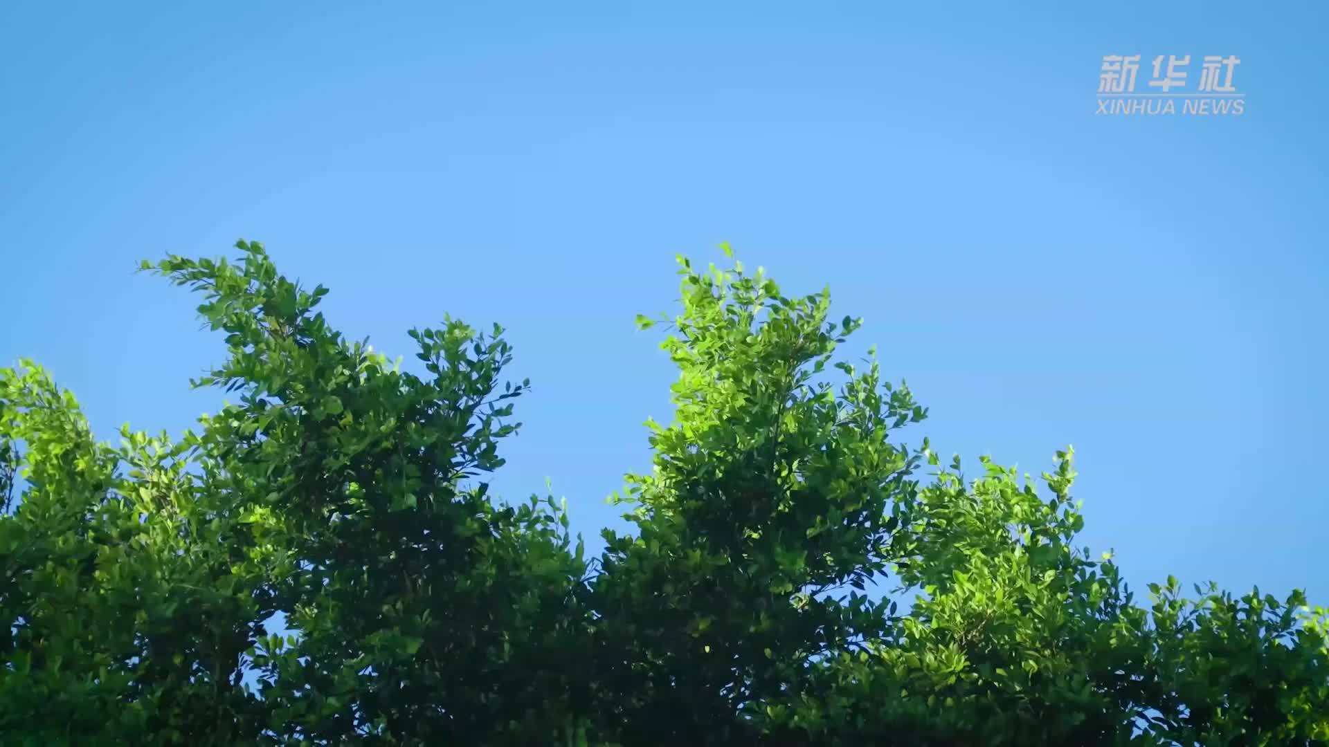 微视频｜遇见·青春