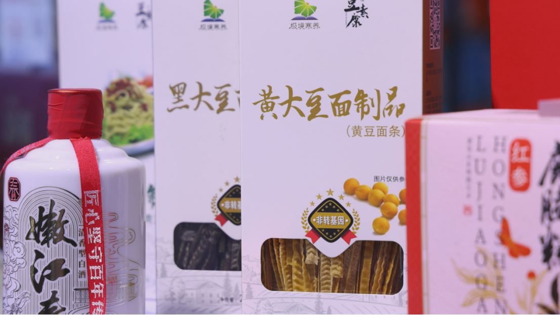 第三十四届哈洽会黑河展区嫩江市主题日活动精彩绽放