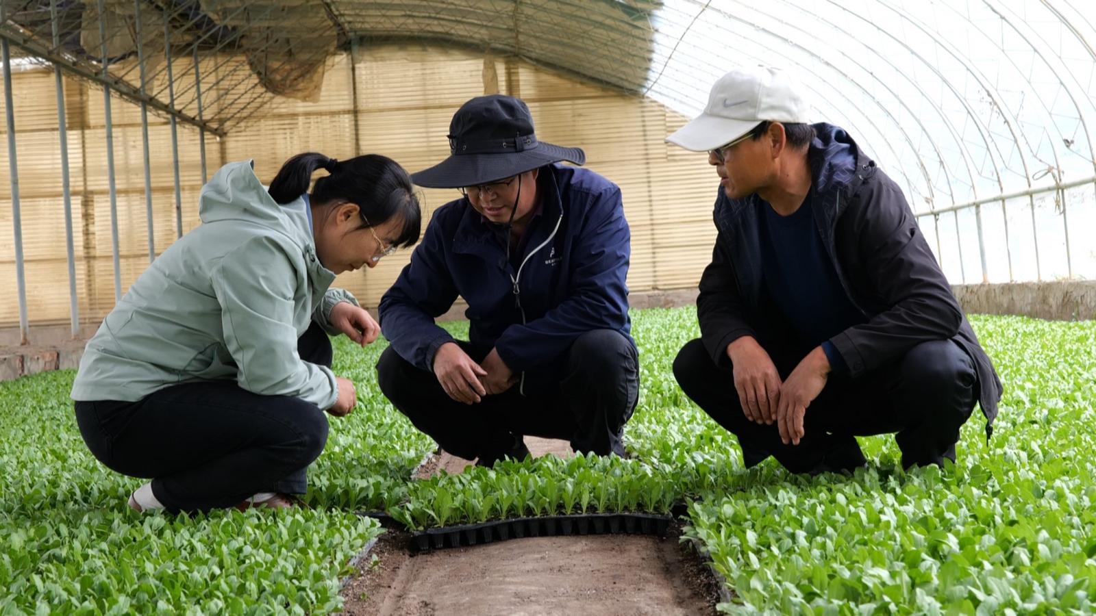 院地合作绘“粮”辰美景　永昌农业尽显科技范