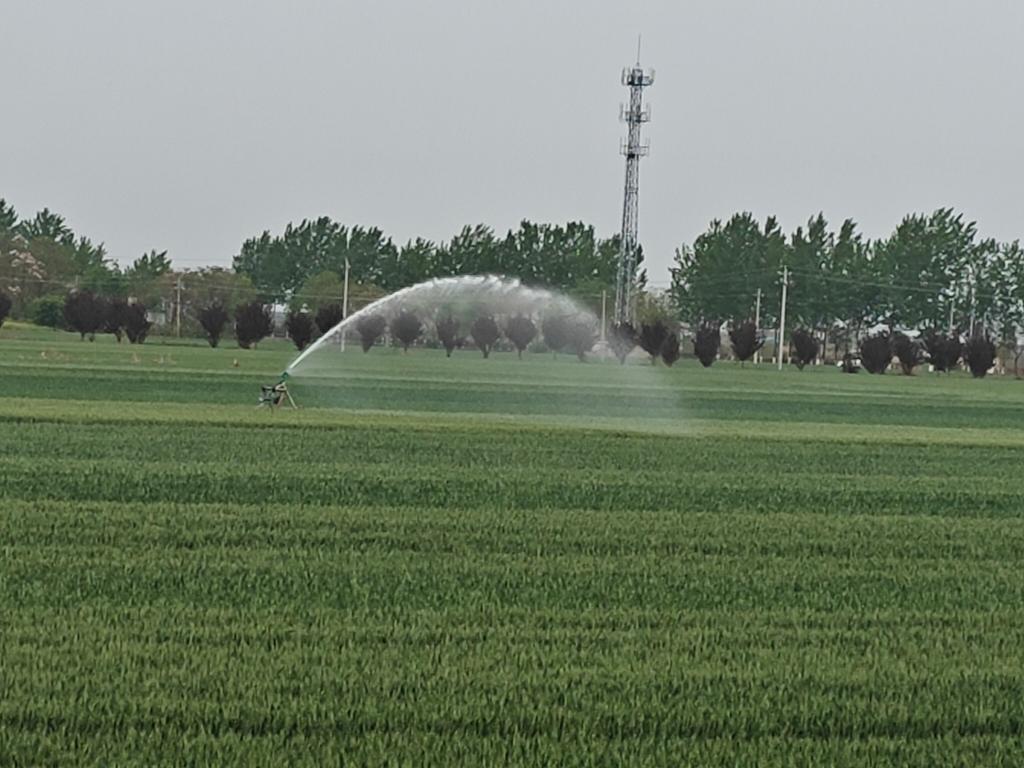 图为陕西省宝鸡市凤翔区彪角镇下郭店村喷灌现场。新华社记者刘彤 摄