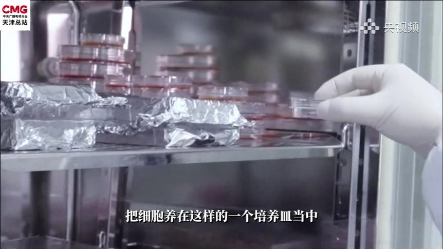 新质力 新津彩丨揭秘人工器官