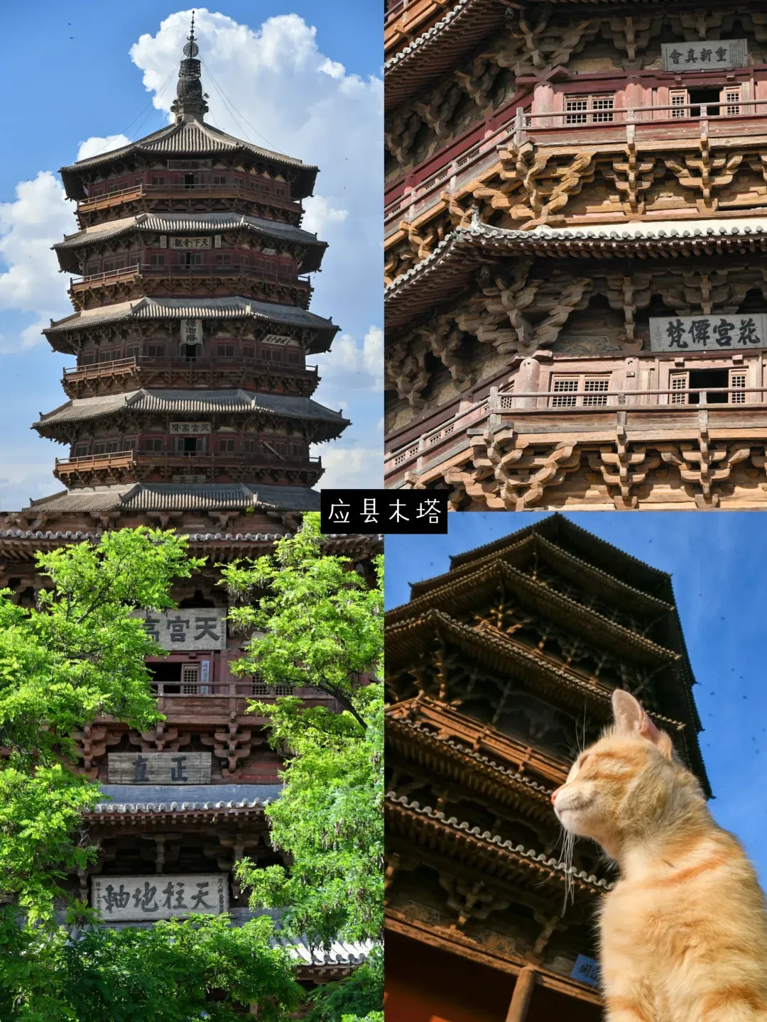 来自马蜂窝用户@大力羊