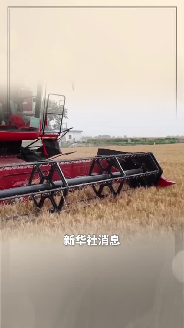 新华社消息｜今年夏粮收购开秤在即！各地工作准备就绪