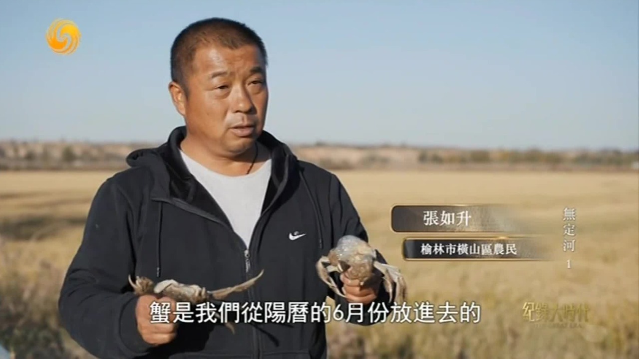 在陕北高原也能养出肥硕鲜美的大闸蟹，这一切，正是无定河的恩赐