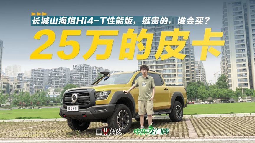 你会花25万买一台皮卡吗？