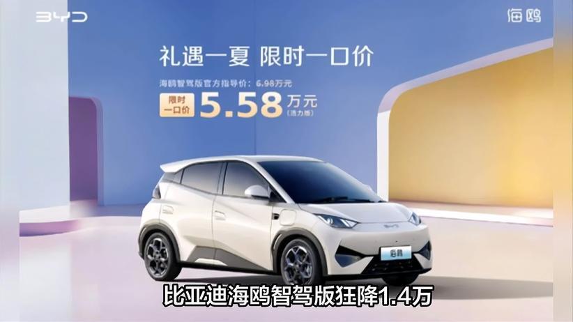 比亚迪海鸥降价连招不断，小型车市场再起波澜