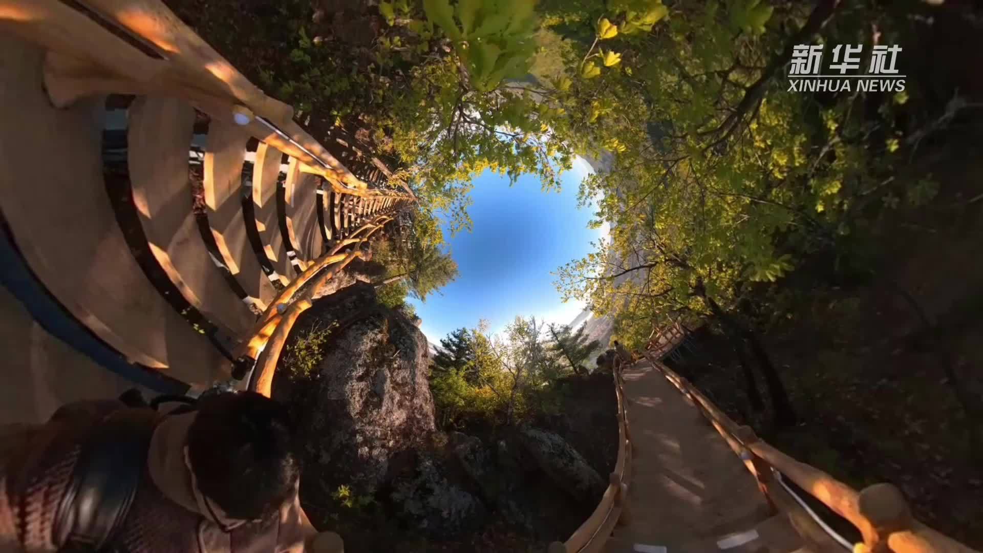 秀我中国｜在伊春，我闯进了森林里的家