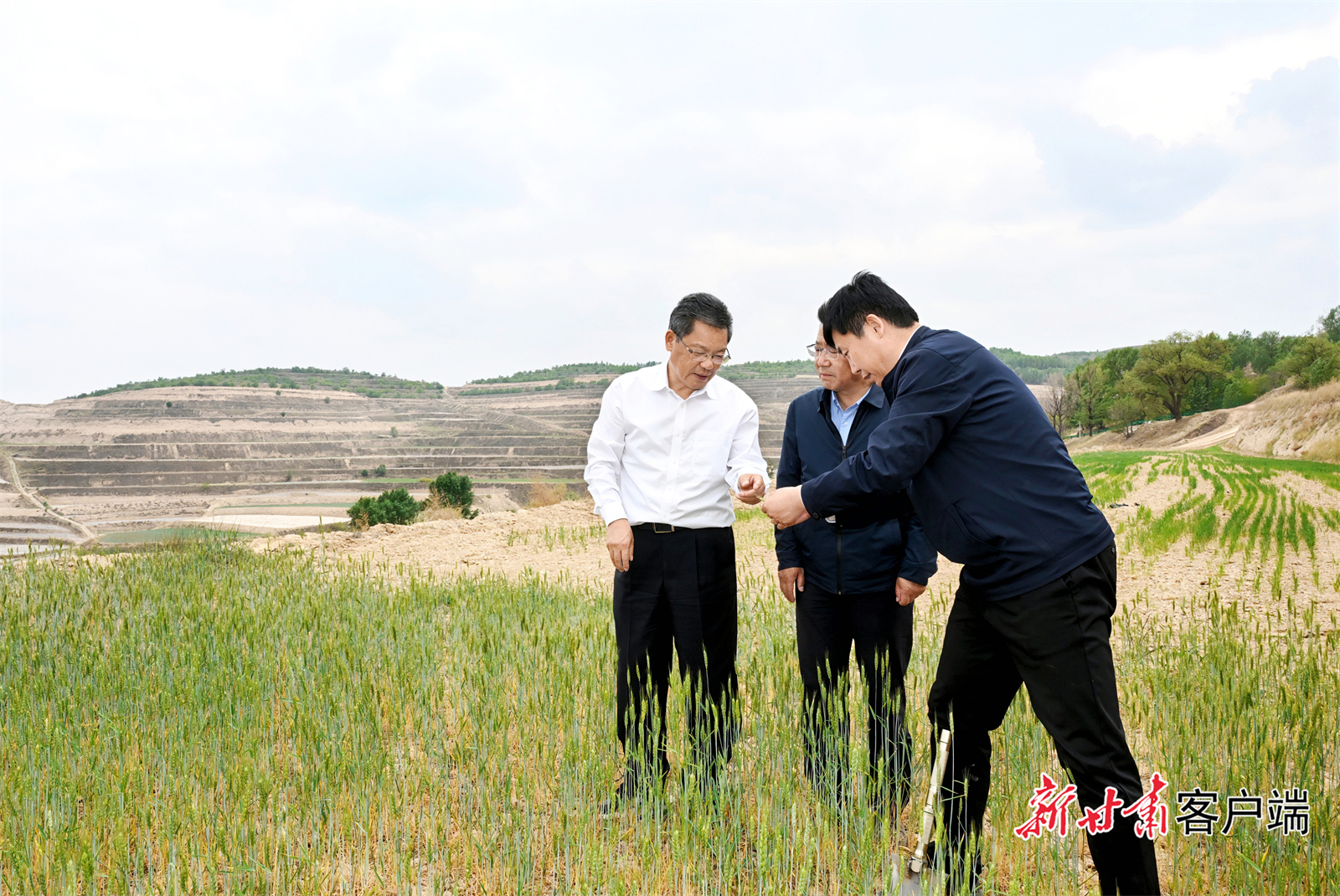 5月21日，省委副书记、省长任振鹤在会宁县、静宁县调研抗旱减灾和群众身边不正之风和腐败问题集中整治等工作。新甘肃&middot;甘肃日报记者　盛学卿