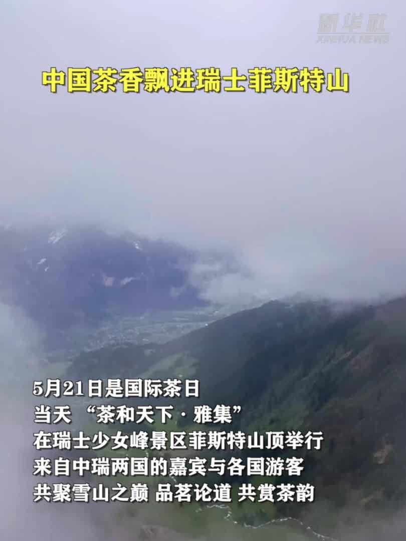 中国茶香飘进瑞士菲斯特山