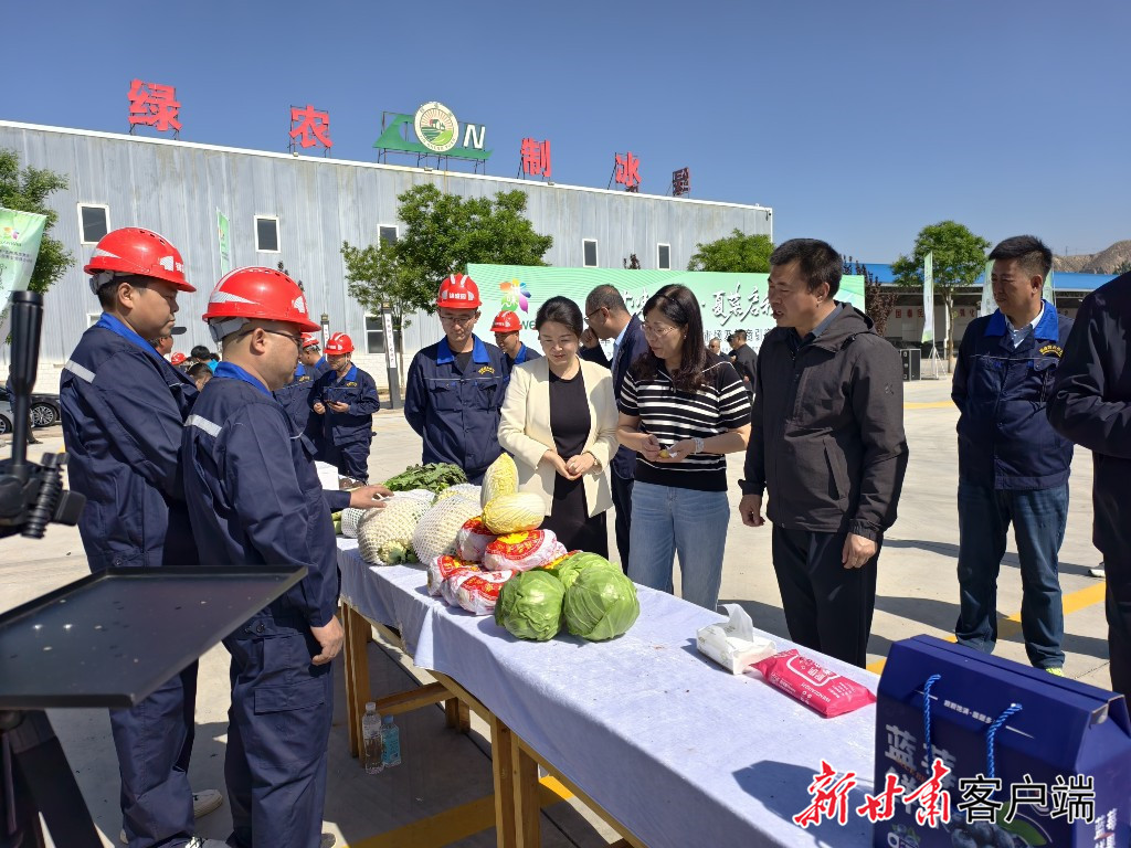 兰州市红古区对刚上市的兰州高原夏菜进行展示　甘味品牌中心供图