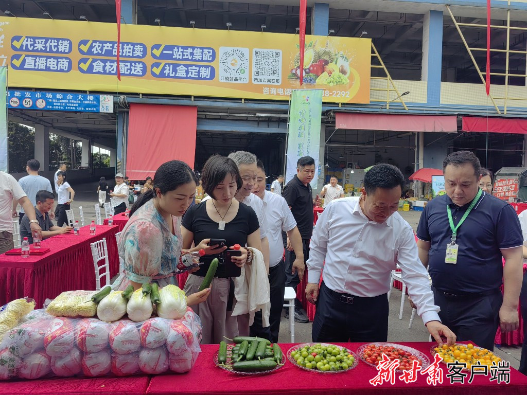 兰州高原夏菜深受广州市民青睐　本文图片除署名外均由新甘肃&middot;甘肃日报记者王朝霞摄