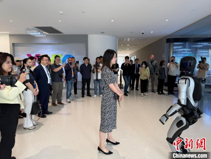 5月23日，中外媒体在武汉东湖高新区与机器人互动。中新社记者 武一力 摄