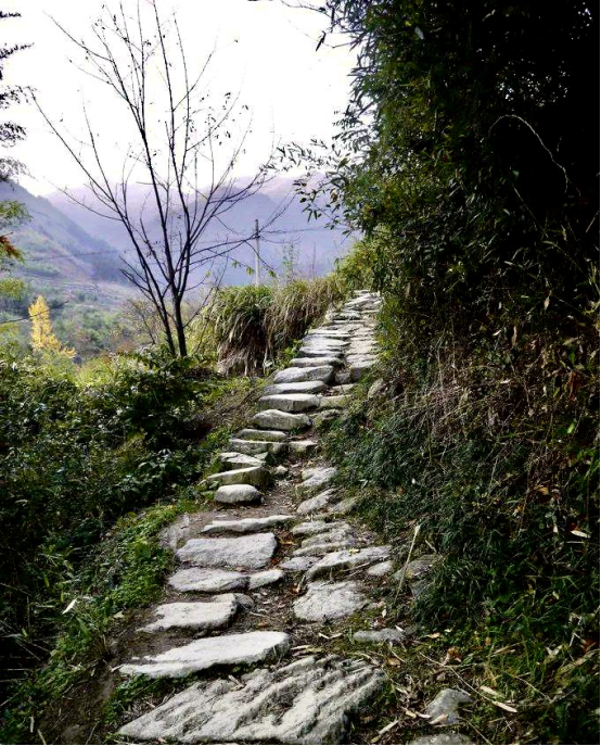 吴越古道上的黄檗道场 | 吴越黄檗踪迹