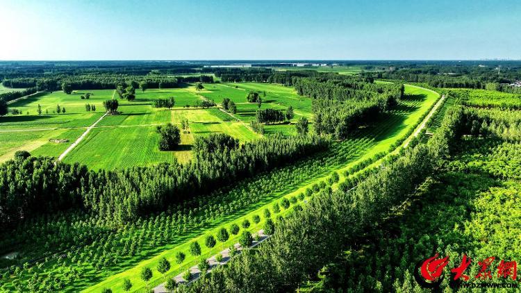 航拍菏泽黄河生态廊道