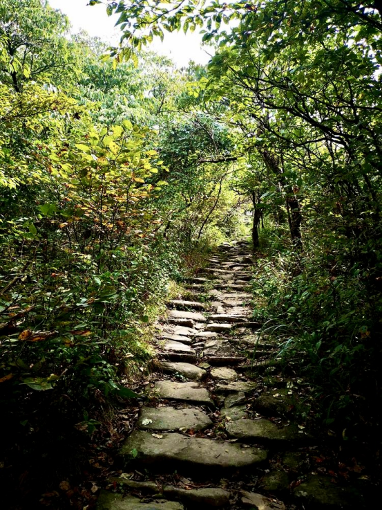 吴越古道上的黄檗道场 | 吴越黄檗踪迹