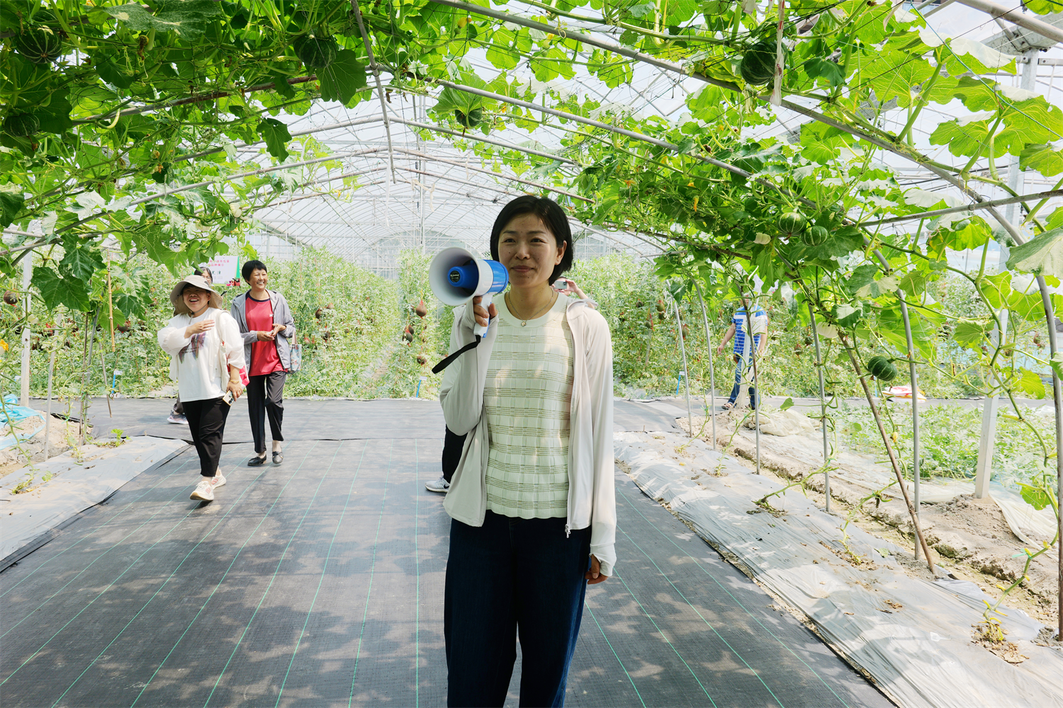 瓜香四溢迎仲夏！2025宁波瓜菜新品种观摩会直击