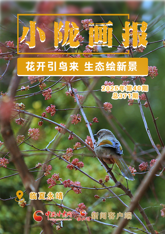 临夏永靖：花开引鸟来　生态绘新景