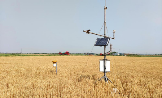 盐碱地生态系统观测研究平台