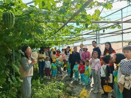 土特产赋能“百千万工程” 杜阮凉瓜美食文化旅游系列活动圆满收官