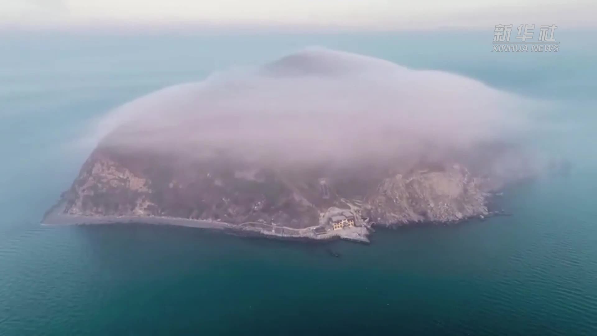 为蛇岛“居民”装芯片