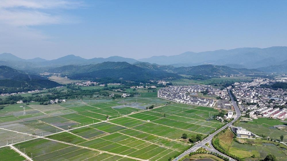 宜丰：初夏田园（图）凤凰网江西_凤凰网